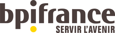 Banque publique d'investissement